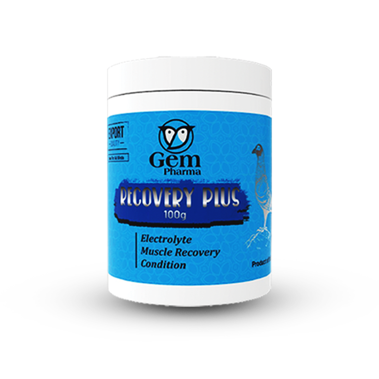 RECOVERY PLUS (100g)