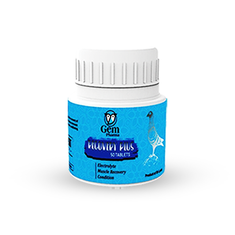 RECOVERY PLUS (50 Tablets)